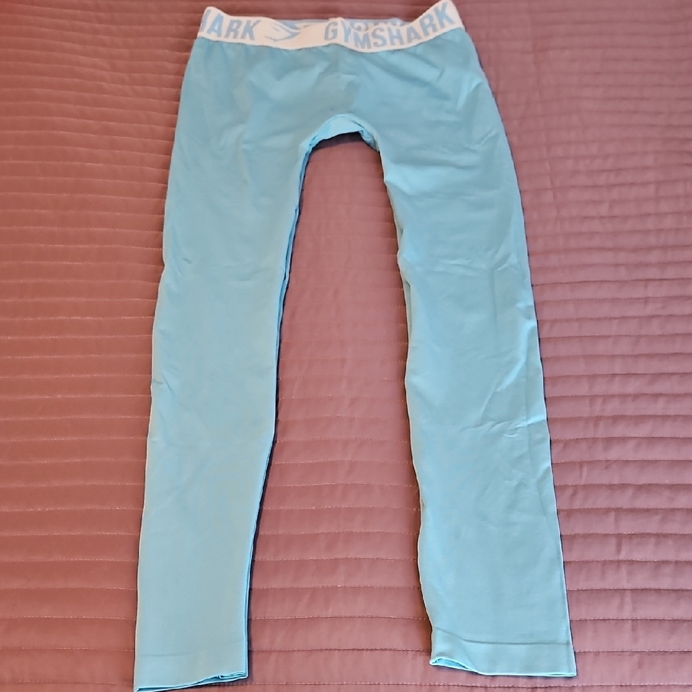 Gymshark Teal Blue Workout Leggings